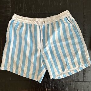 Mens Mykonos Vacay Striped Blue and White Swim Trunks